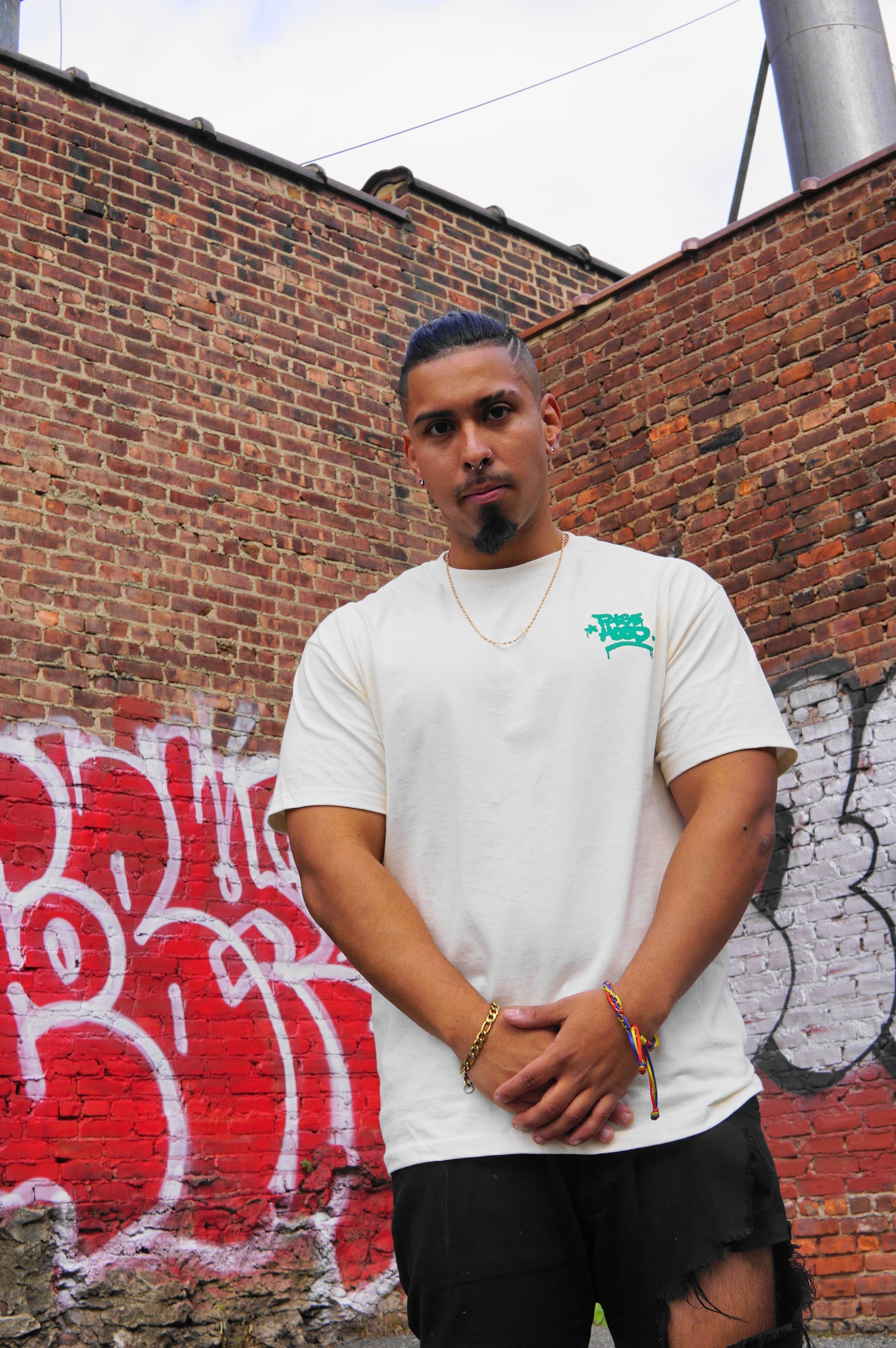 The Big TAG. Tee - FALSEHOOD.