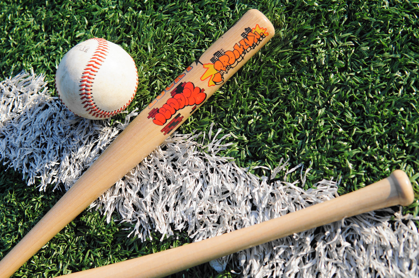 HOMETOWNS Mini Baseball Bat - FALSEHOOD.