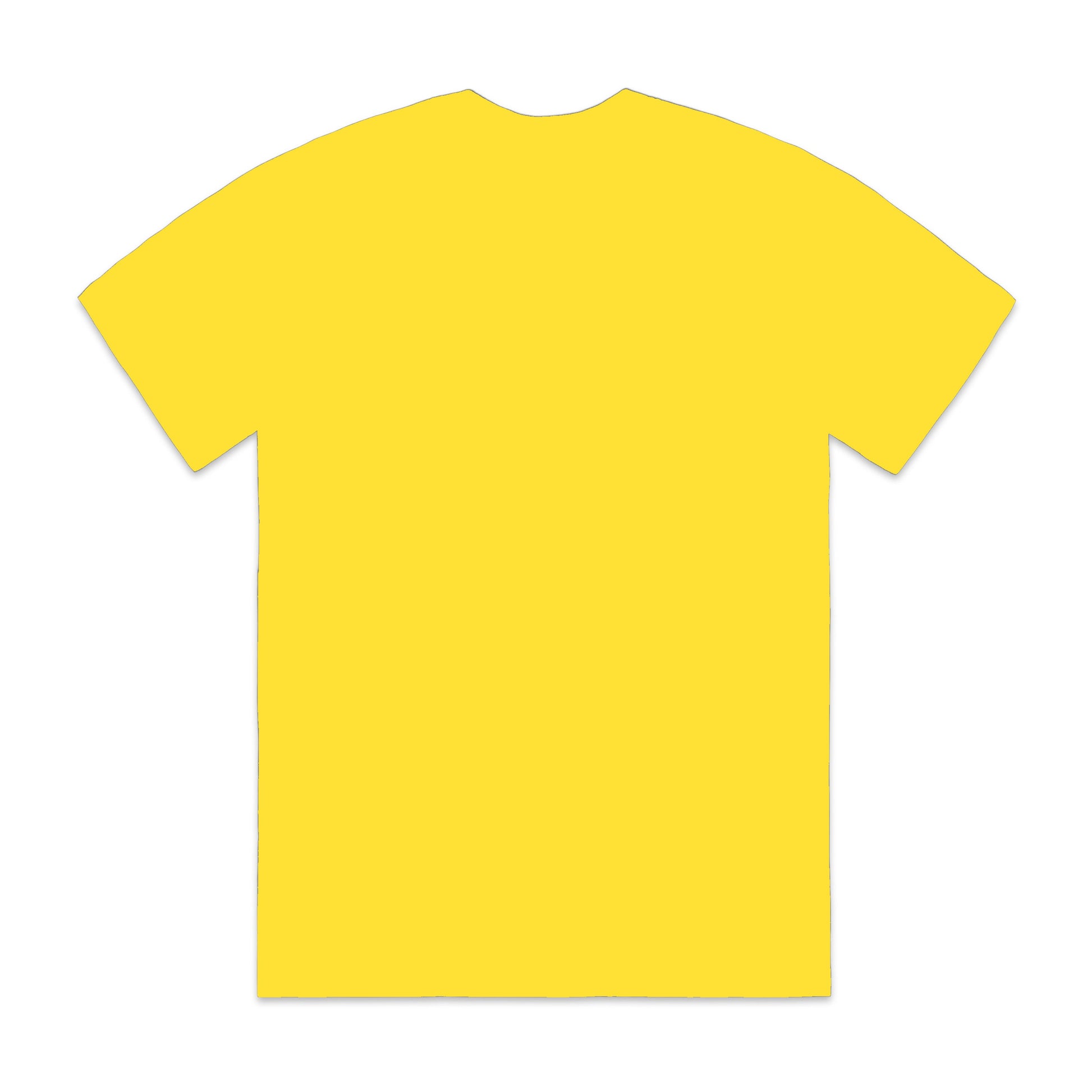 The TAG. Tee - FALSEHOOD.