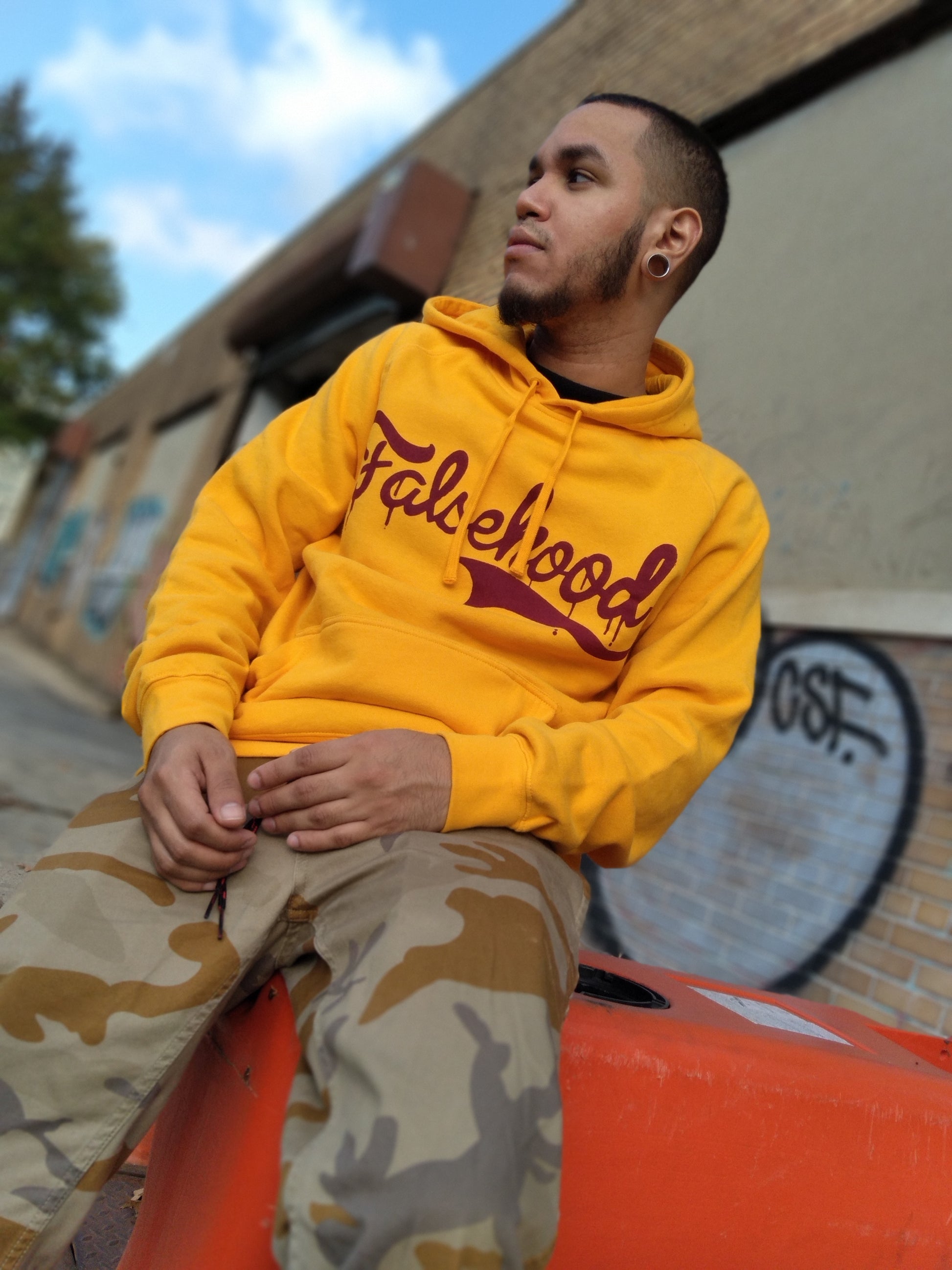 The Script TAG. Hoody - FALSEHOOD.