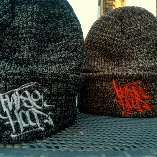 GWC - ADER Beanie - FALSEHOOD.