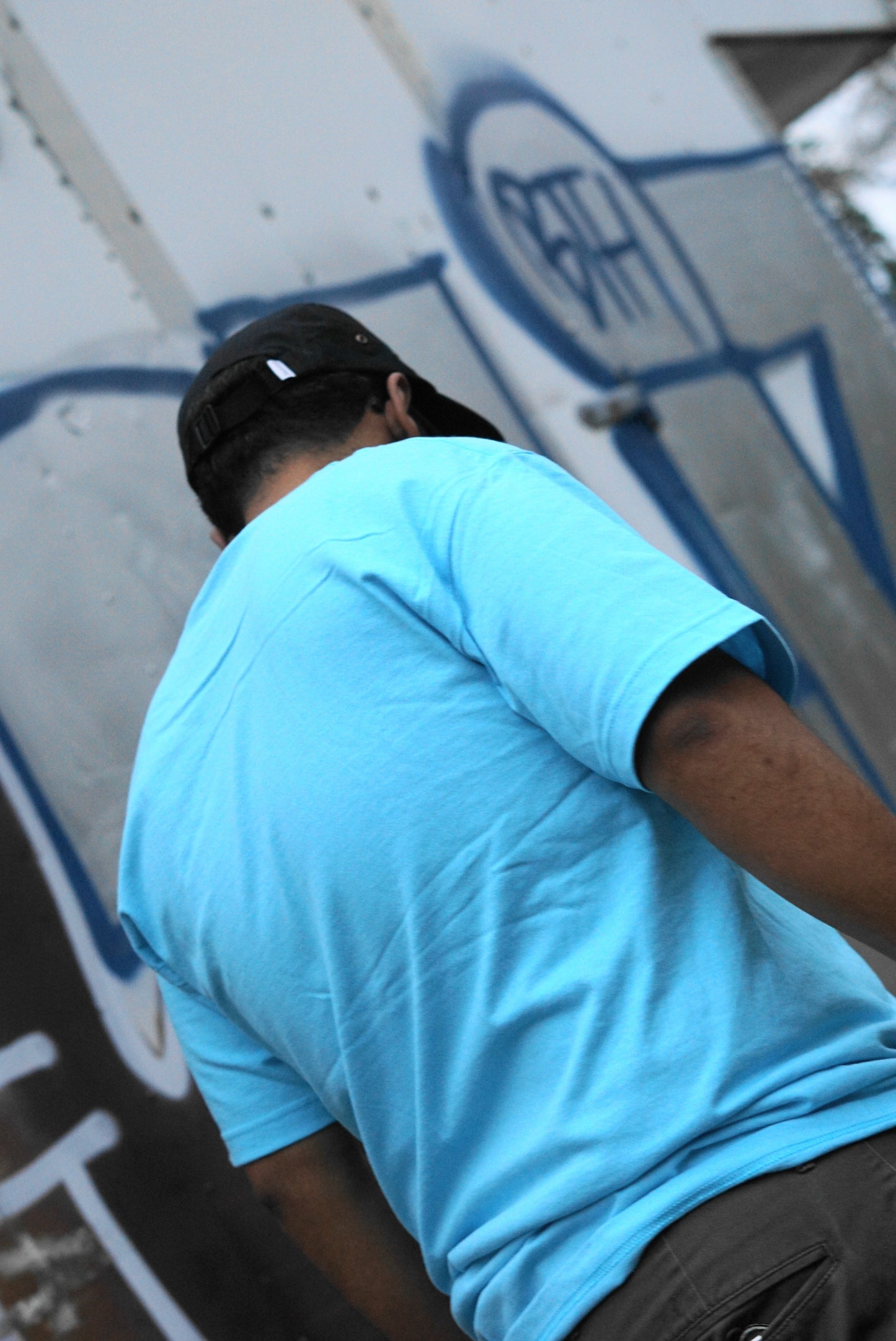 The TAG. Tee - FALSEHOOD.