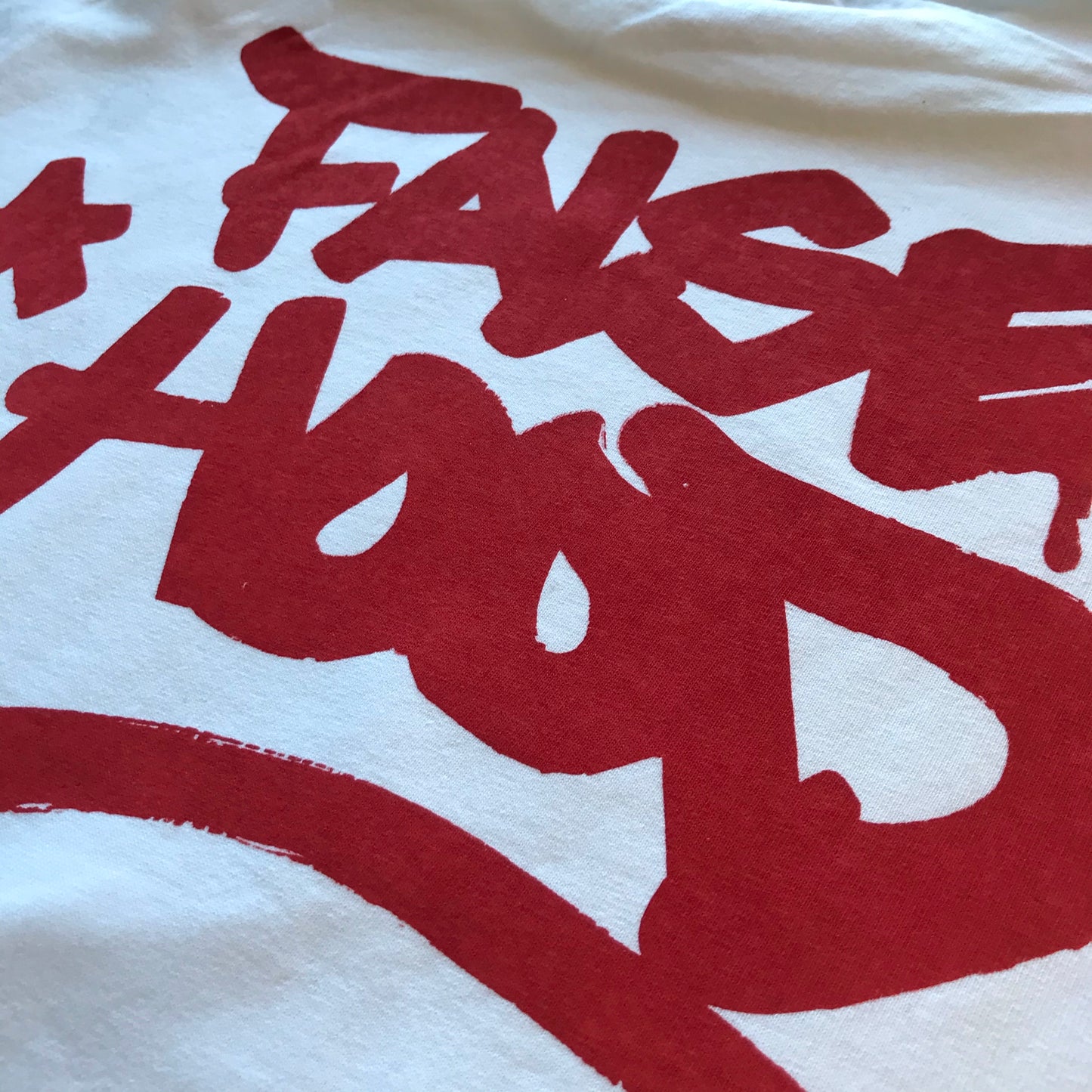 LEO The Turtle. Tee - FALSEHOOD.