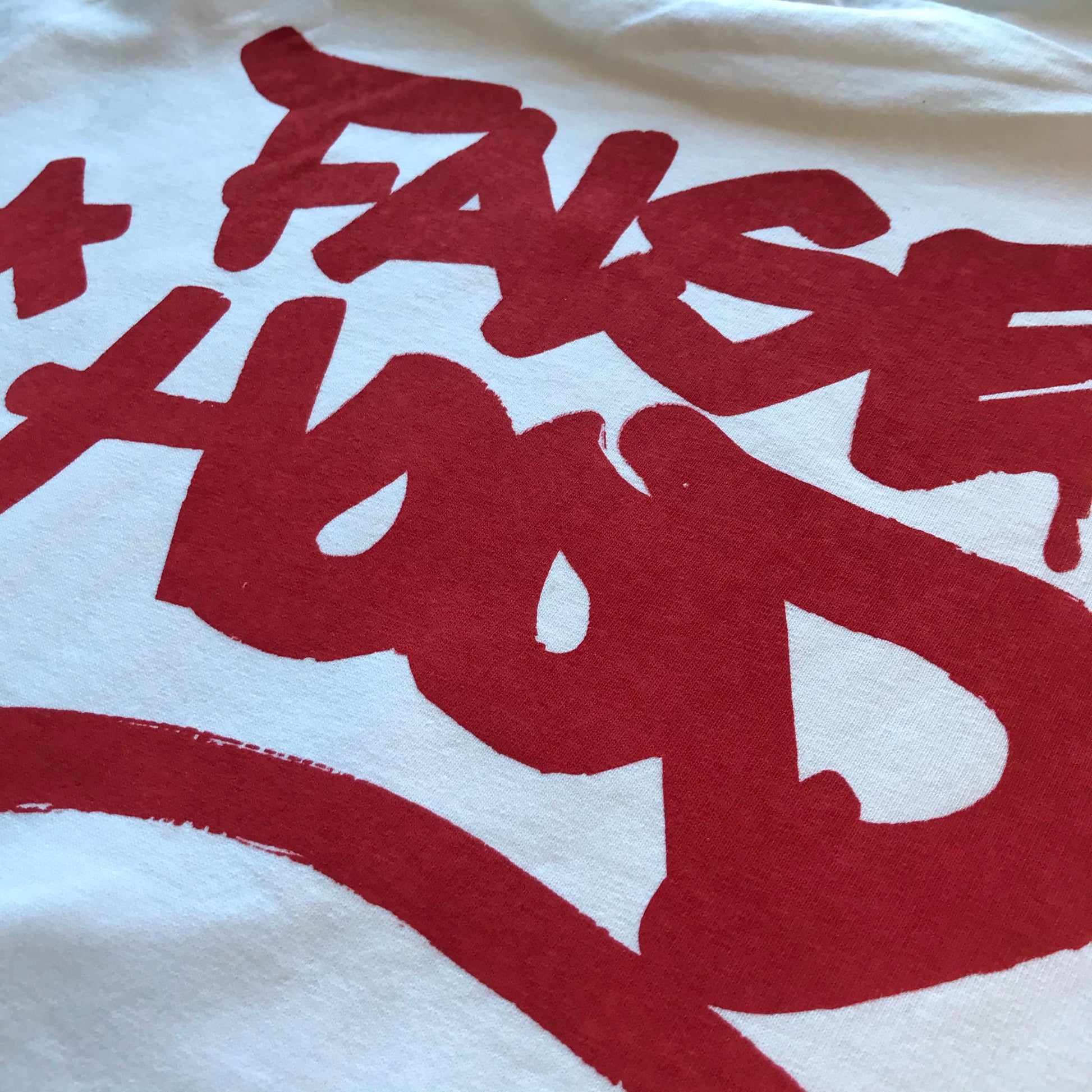 LEO The Turtle. Tee - FALSEHOOD.