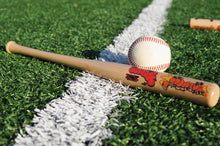 HOMETOWNS Mini Baseball Bat
